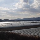 함안군 농업기술센터 이미지