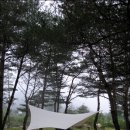 우리 캠핑장 이미지