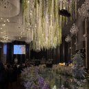 만년로 | 대전 단독홀 마리드엘 웨딩홀 아이폰스냅 후기, 감성 촬영 기록