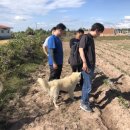 이선호농장 이미지