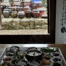신창민박 티스토리