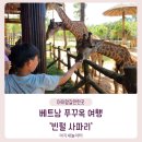빈에듀투어(주) | 아이랑 베트남 푸꾸옥 여행 빈펄 사파리 체험 주트램 빈 버스 타기