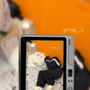 애견천국 이미지