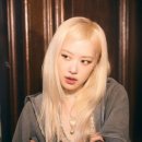 제제헤어 - 송파구 | 제제헤어