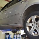 성일카랜드 이미지