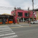 벤지애견 이미지