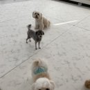 포그니유치원 이미지