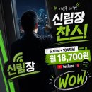 티브로드동대문방송 이사할 때 동대문케이블 설치 먼저 확인한 이유