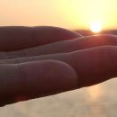 삼일카서비스 이미지