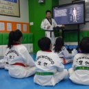 호연태권도 이미지