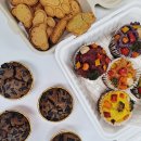 하이펫스쿨 협동조합 이미지