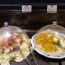 트리제이 더 테라스 이미지