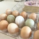 죽전1구 이미지