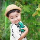 사과나무사진관