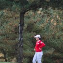 KLPGA 25년 대보 하우스 디 오픈 갤러리 후기