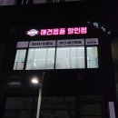 웃는개이쁜고양 이미지