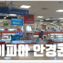 아이피아 안경콘텍트 이미지