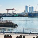 단아목장 이미지