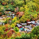 (주)호남해외관광 이미지