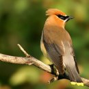 행복의아침 이미지