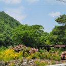 영천댐식당 이미지