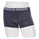 아놀드바시니 이미지