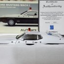 1:18/Autoart, Kyosho/FORD MUSTANG, Chevrolet Corvette, NISSAN Skyline 판매합니다 이미지