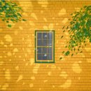 알렉스 하우스 이미지