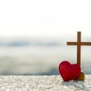 아임우드 이미지