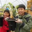 블루베리사슴농장 이미지