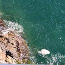 스카이행정사사무소 이미지