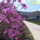 늘햇살농원 이미지