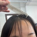 감동약품 주식회사 | 제주 히피펌 내돈내산 얇은 머리카락 파마 잘하는 곳 후기 +앞머리 모류교정/비커즈노와