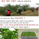 산들청 매실농장