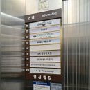 핫플레이스킹덤