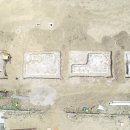 스테이펫 이미지