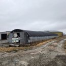 녹색한우농장 이미지