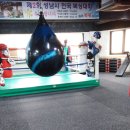 슈가복싱클럽 이미지