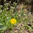 또와캠핑장 이미지