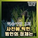 이숙희 | 허수아비 2회 줄거리 충격 반전｜살인범 정체 드러나나? 곽선영 함정수사 투입