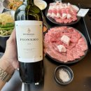 피오네로Pionero