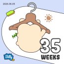 세진농산물 | 임신 35-36w기록 :: 아인조리원 산전마사지, 붓기시작, 막달검사, 평일데이트