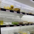 마라탕왕훠궈 | 전북대 훠궈 양꼬치 무한리필| 친구랑 내돈내산 굿굿훠궈마라탕 후기 (26.6.7.)