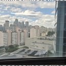 행정사조정사무소 이미지