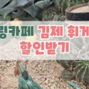 달밤팜