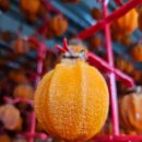 산천농장 이미지