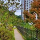 동백꽃담근린공원 이미지