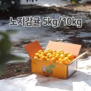 30년 농사 영숙이네 노지감귤 5kg 20,000원 이미지