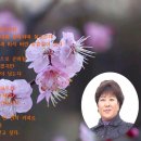 박*화 이미지