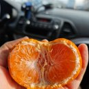 남원 제일농장 이미지